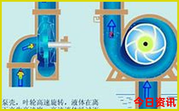 2023年今晚澳门开奖结果